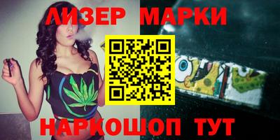 шишки Будённовск
