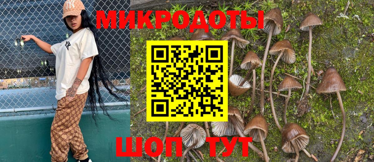 Псилоцибиновые грибы мицелий Красноуфимск